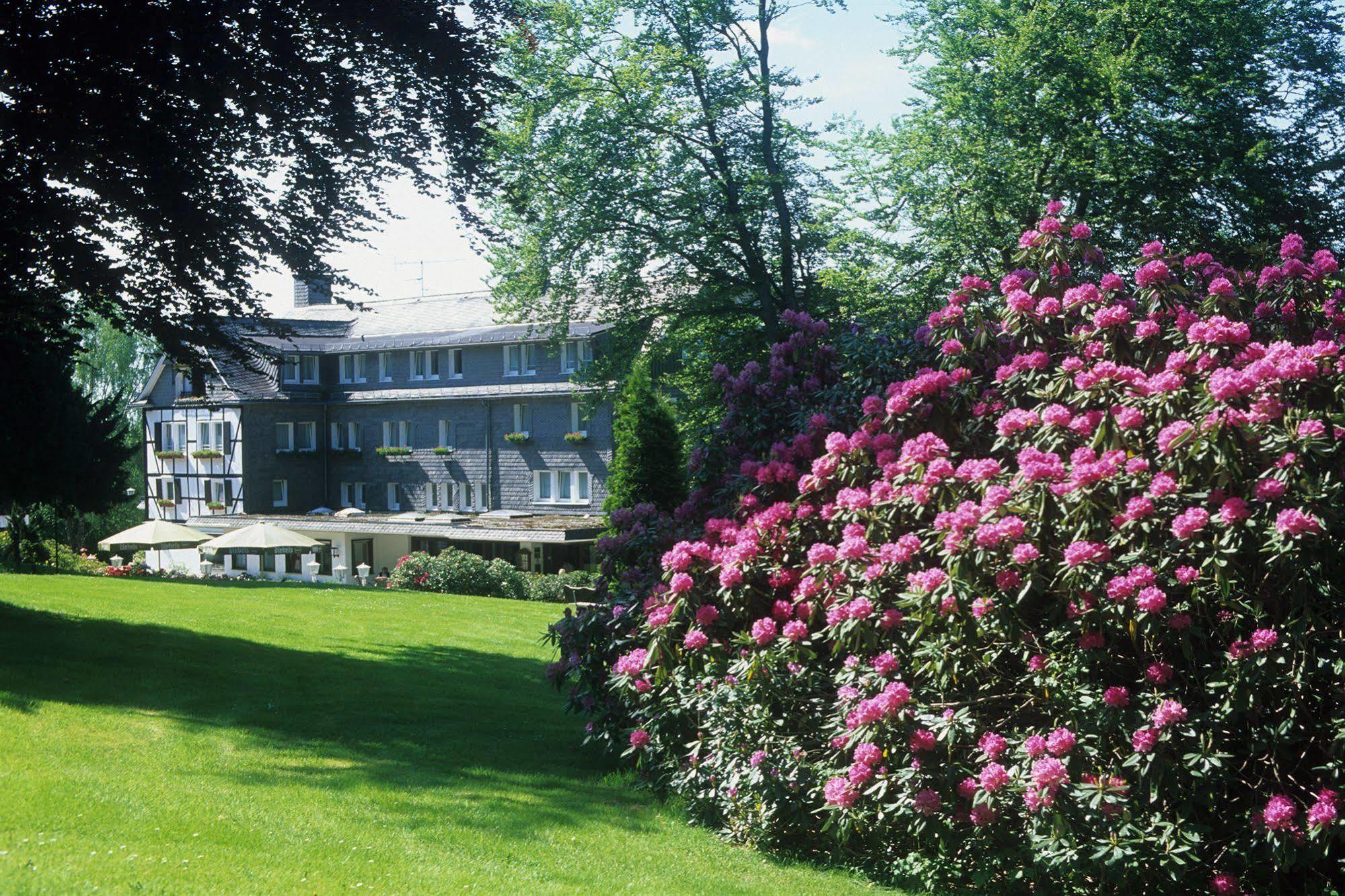 Hotel Jagdhaus Wiese Schmallenberg Exterior photo